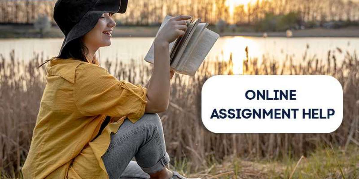 Consultation of Assignment Help expert makes your solution quality better