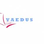 Vaedus center profile picture