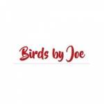 Birds by Joe Profile Picture