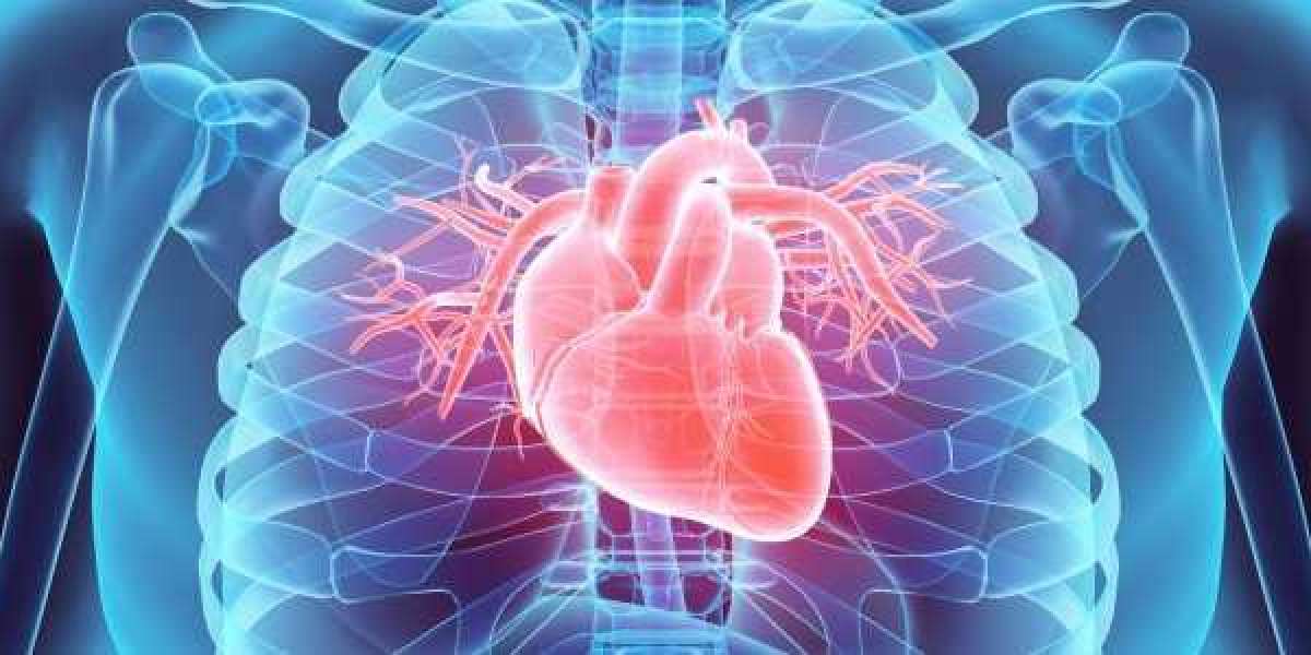 A Brief Introduction to Cardiac Health and Treatable Symptoms
