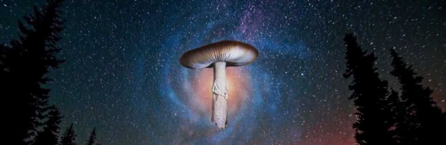 Magic Mushrooms Canada Cover Image