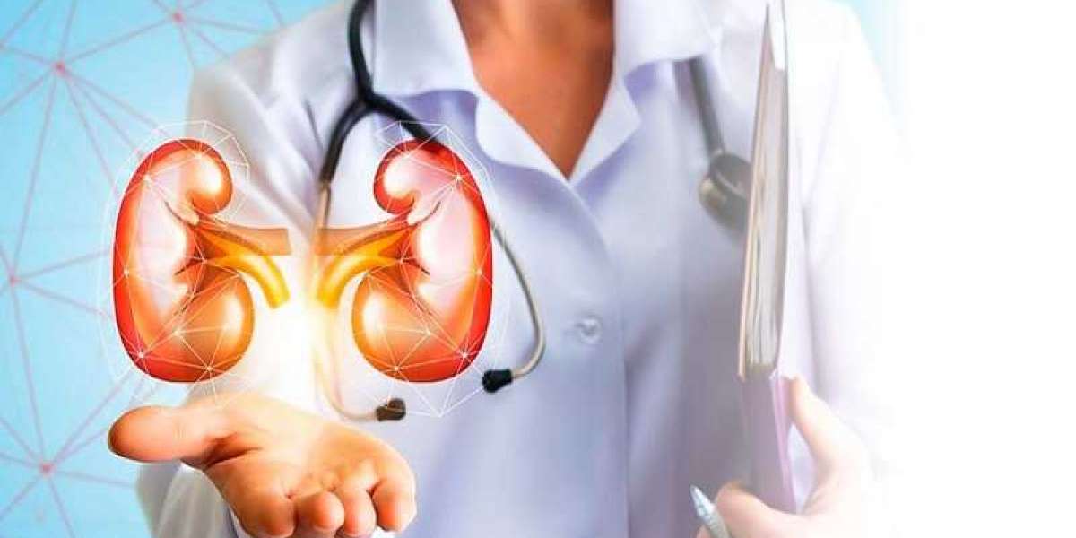 Here's all About the Procedure and Risks Involved During Kidney Transplantation