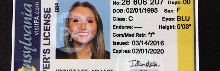 Id In State Cover Image