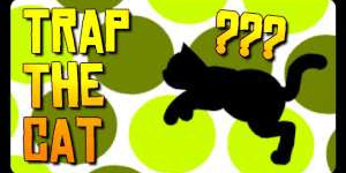 Trap The Cat: A Step-by-Step Guide to Playing This Game