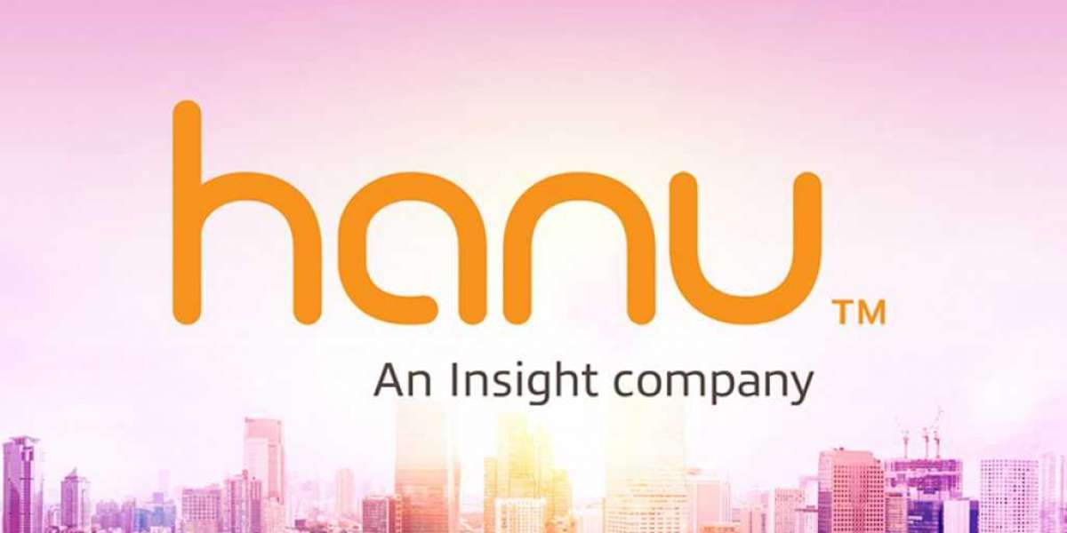 Insight Acquires Hanu Software Solutions