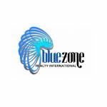 bluezeone realty Profile Picture