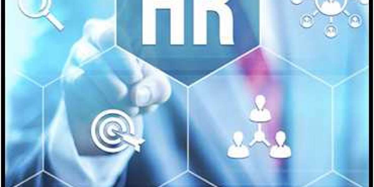What Are The Six Best Trending HR Policies In Pakistan?