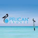 Pelican Drones profile picture