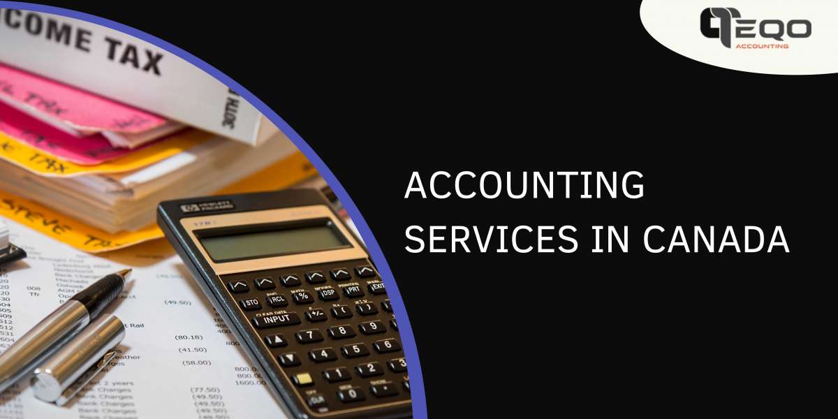 Teqo Accounting is a best-in-class accounting advisory service provider to help businesses to grow.