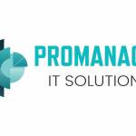 Promanage IT Solutions profile picture