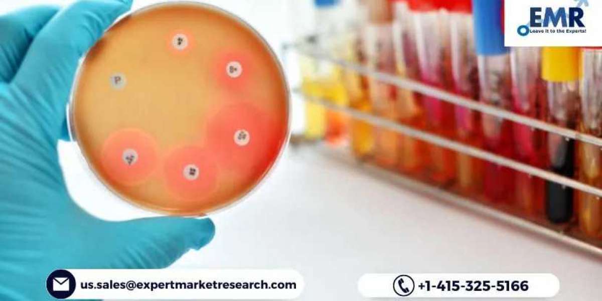 Global Antimicrobial Additives Market Size Share Key Players Demand Growth Analysis Research Report