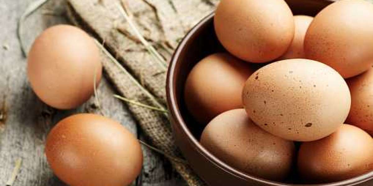 Egg Products Market Overview by Business Prospects and Forecast 2030