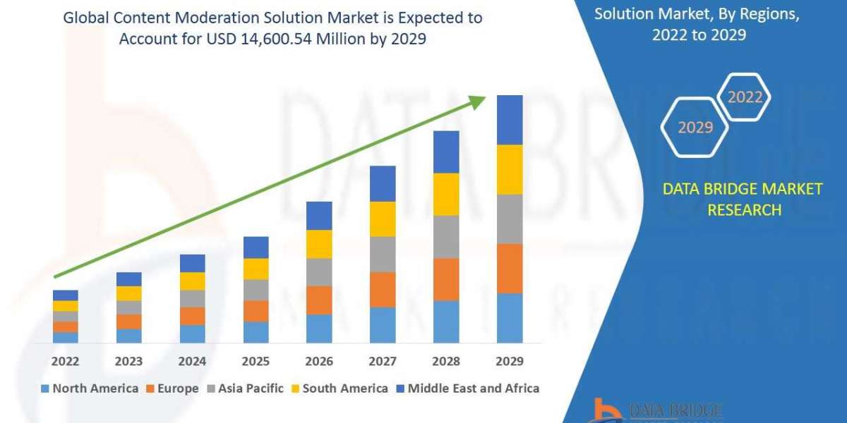 Content Moderation Solution Market Value, Segment & Growth Rate