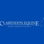 Clarendon Equine Profile Picture