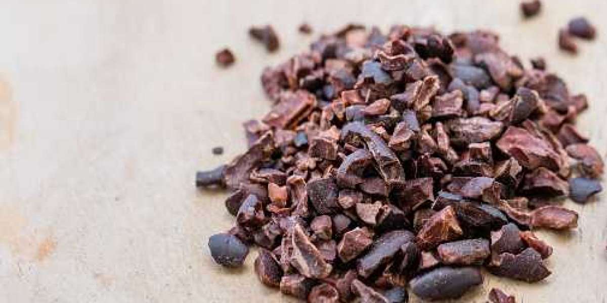 Cocoa Nibs Market Share Value Chain Analysis, Leading Companies, Top Trends, Challenges and Business Opportunities