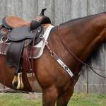 Saddle For Sale Profile Picture