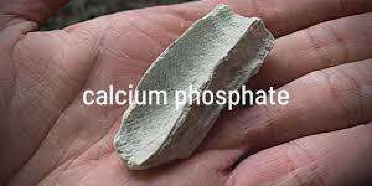 Calcium Phosphate Market Future Demands, by Regional Forecast to 2035