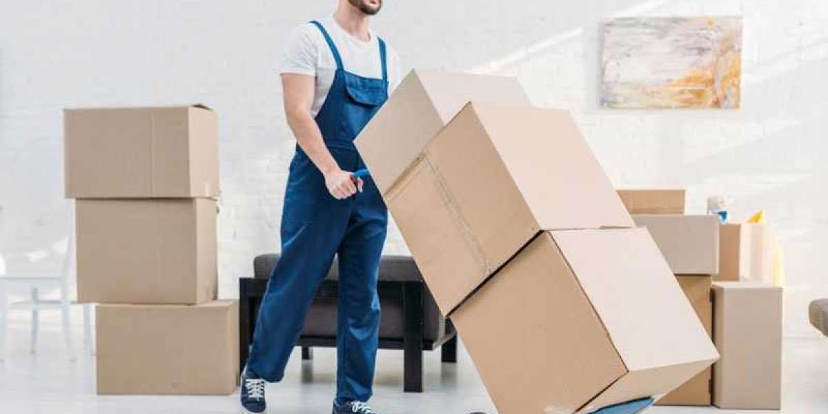 Your Clearwater Moving Services – Are You Planning A Move In Clearwater ?