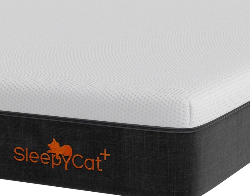 Latest Sleepycat Discount Code And Offers