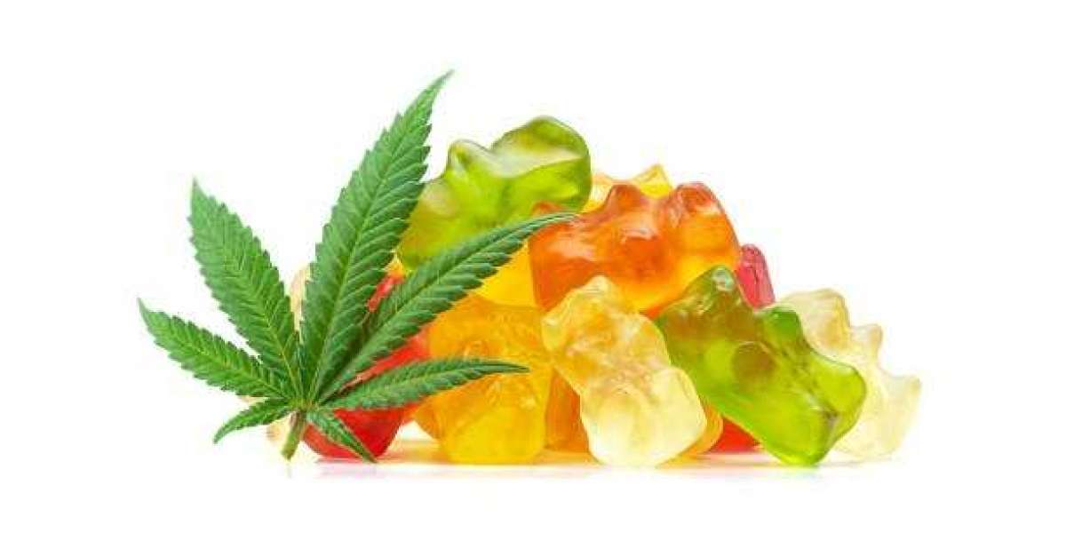 Can Dogs Detect CBD Gummies: What You Need to Know