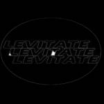Levitate Sneakers Profile Picture