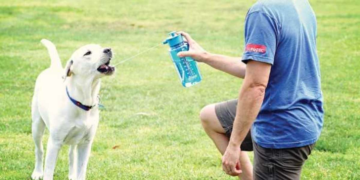 Refreshing Hydration for Canine Companions Functional Waters for Dogs in Poland