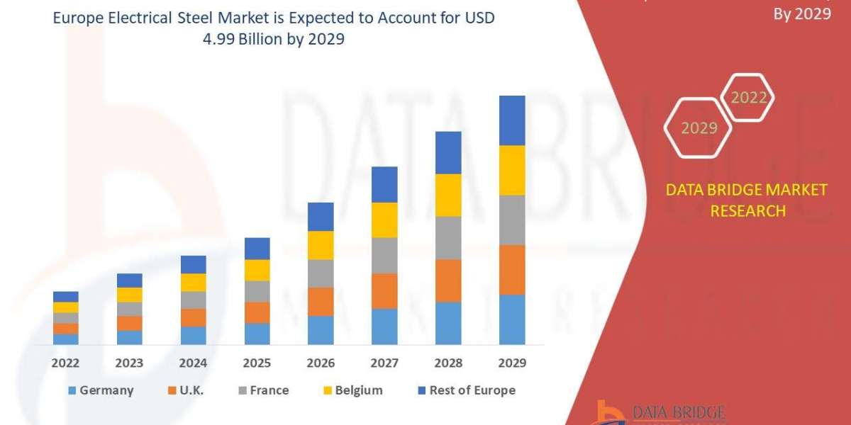 Europe Electrical Steel Market: Industry Analysis, Size, Share, Growth, Trends and Forecast By 2029