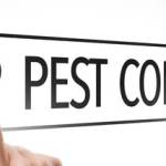 Spider Pest Control Profile Picture