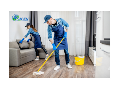 HOUSE CLEANING PROFESSIONALS: CREATING CLEAN AND HEALTHY HOMES - WriteUpCafe.com