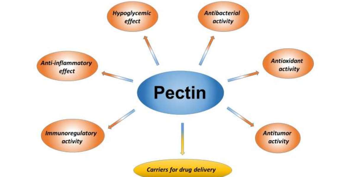 Research Progress of Pectin and Its Medical Application