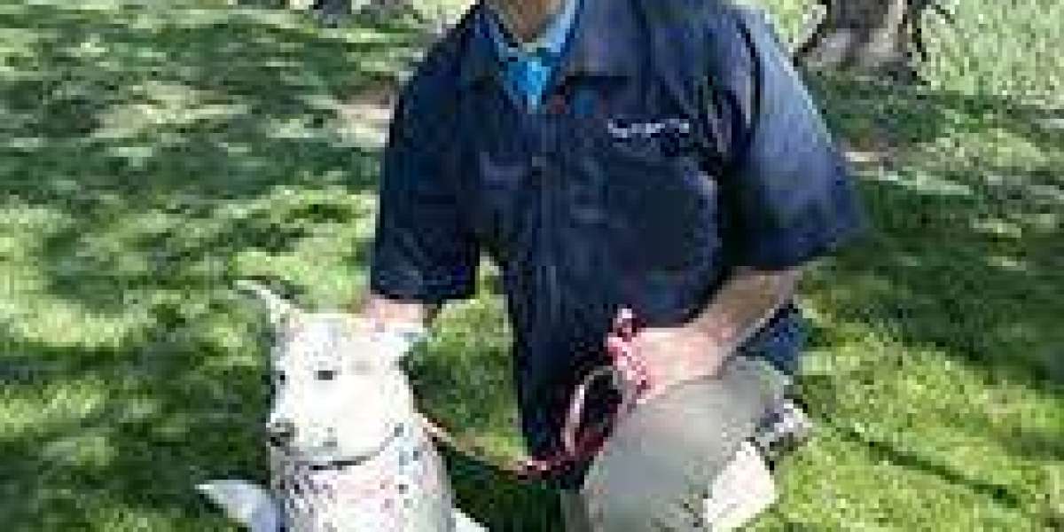 Poway Animal Hospital: Providing Excellent Pet Care for Your Furry Friends