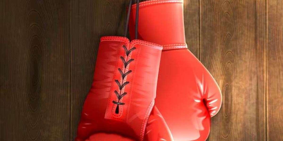 Best boxing gloves for training