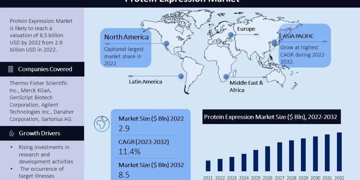 Protein expression Market Trends, Share, Opportunities and Forecast By 2032