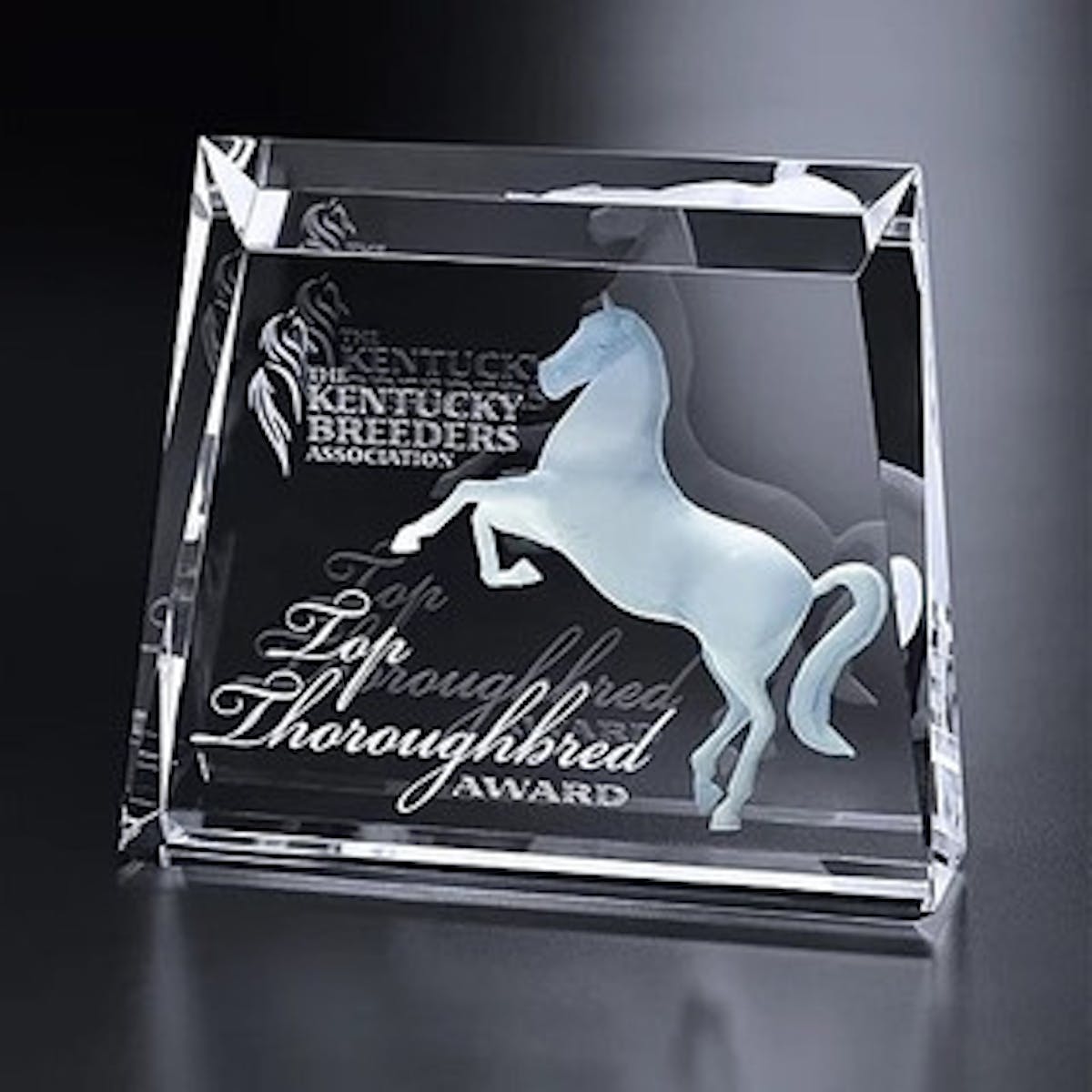 Captivating Memories with 3D Crystal Engraving: Where Design Meets Exp