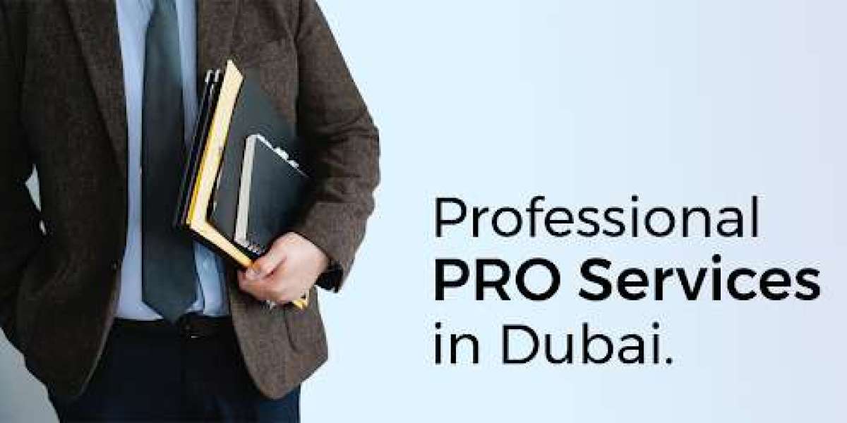 Navigating The Path to Success | Company Setup And PRO Services in Dubai