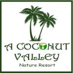 coconut valley Profile Picture