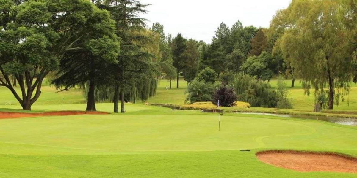 Wingate Park Golf Club: Where Golfing Dreams Take Flight
