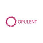 Opulent Investments Limited Profile Picture
