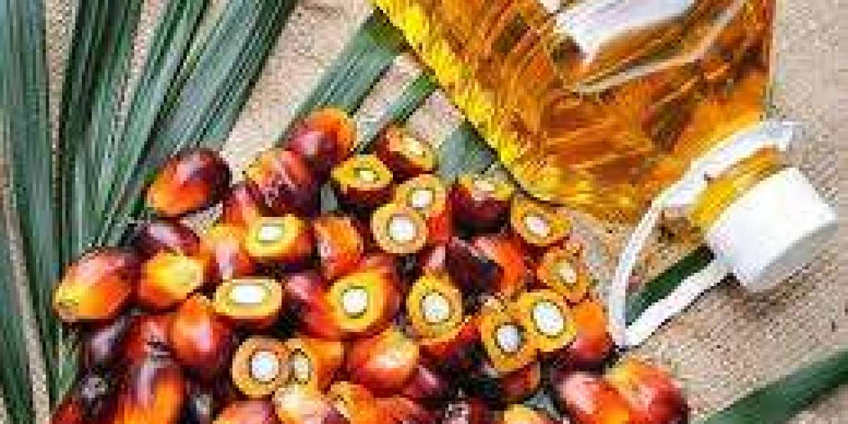 Palm Oil Market Research, Current and Future Demand, Analysis, Growth, Segmentation, and Supply forecast year 2030