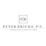Peter Bricks PC Profile Picture