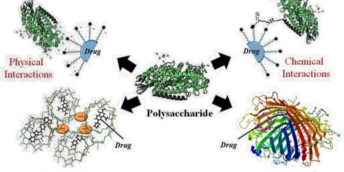 What is a Nano-Drug Delivery System of Natural Polysaccharides
