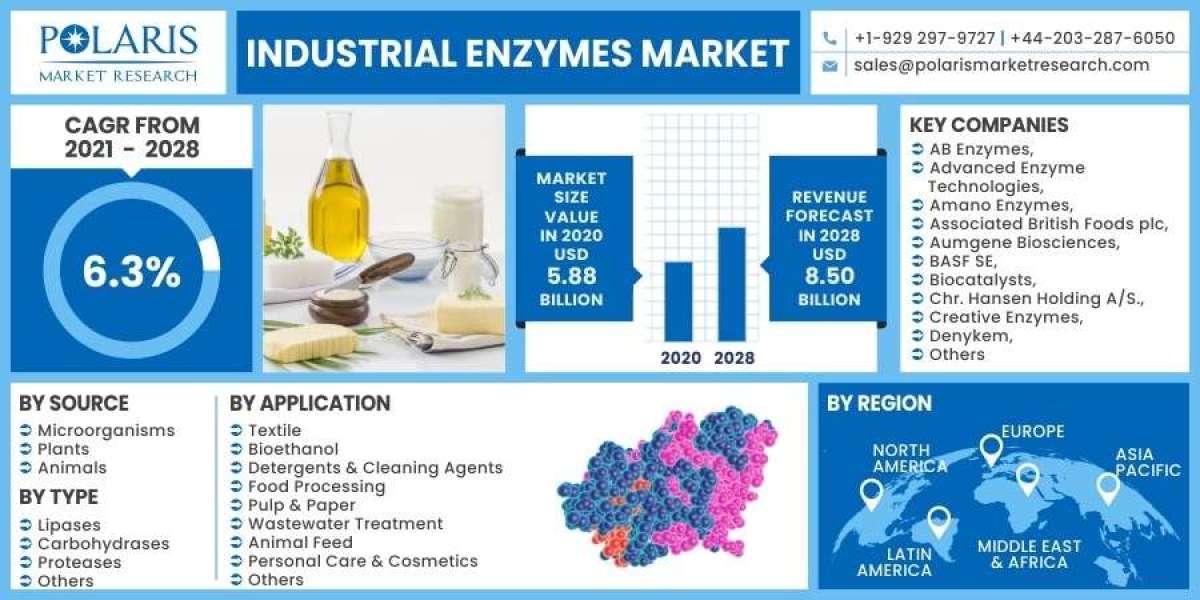 Industrial Enzymes Market Trends, Growth and Business Tactics with Opportunities by 2032