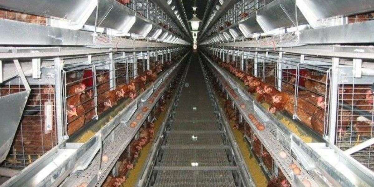 Poultry Keeping Machinery Market Global Trends, Segmentation And Opportunities Forecast To 2028