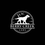 BERRY CREEK LABS Profile Picture