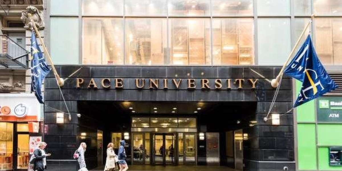 Elevate Your Data Science Career: Unravelling the Excellence of Pace University's MS in Data