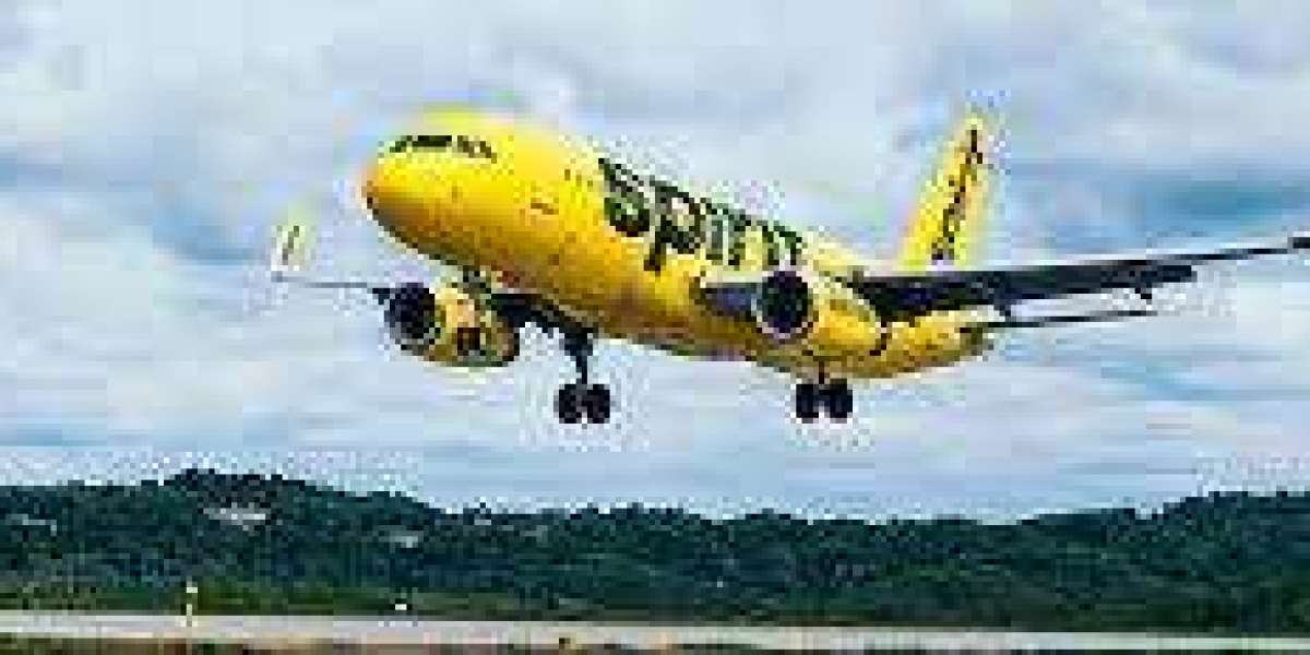 Does Spirit Airlines Allow Unaccompanied Minors?