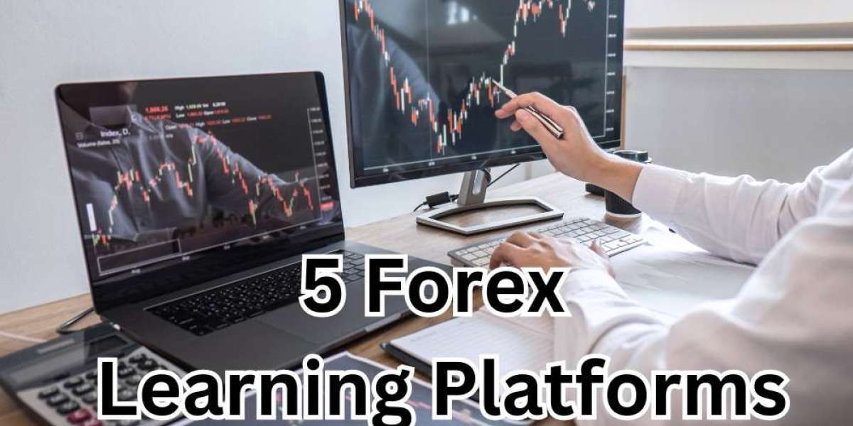 5 Forex Learning Platforms