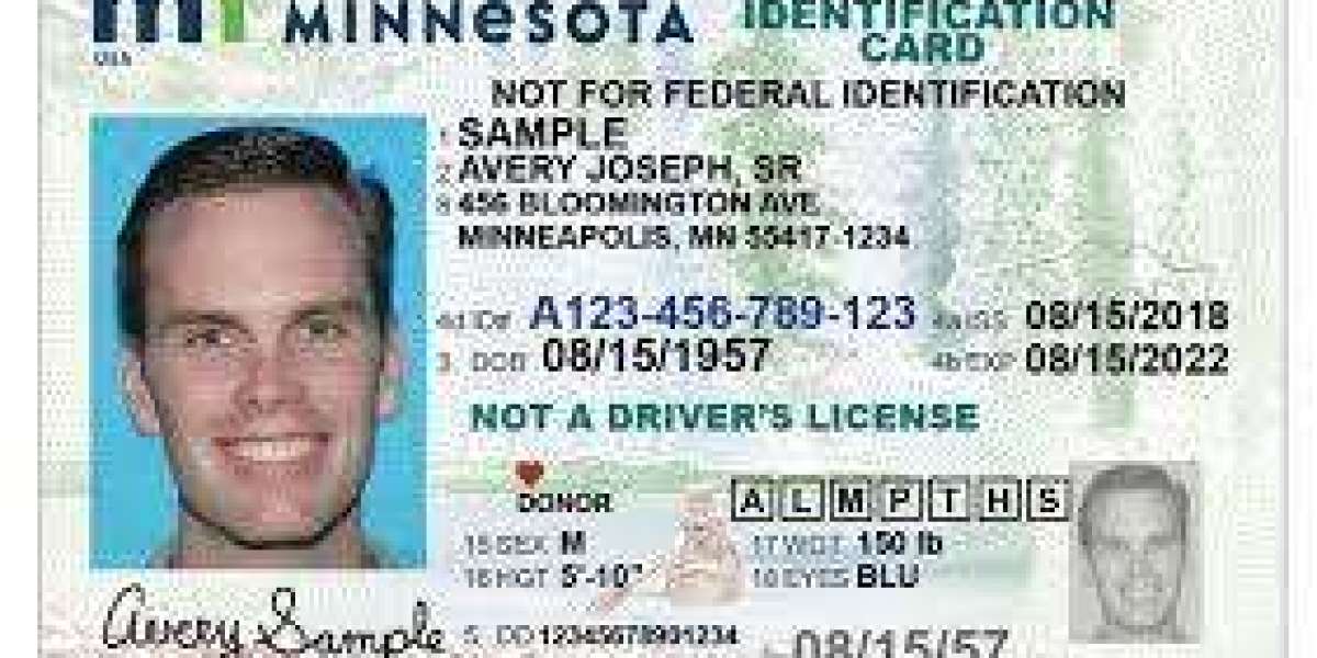 Minnesota Mystique: Unraveling the State ID