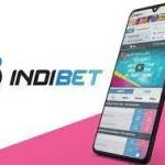 indibet app Profile Picture