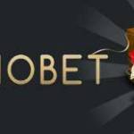 Riobet Casino Profile Picture